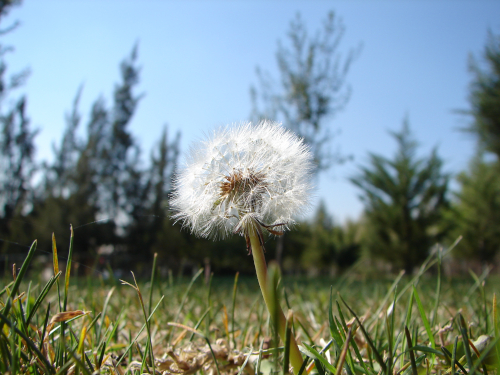 Una foto de la naturaleza.